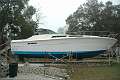 2013-01-29 Sea Ray Paint
