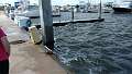 128: IMG_20161010_132837443